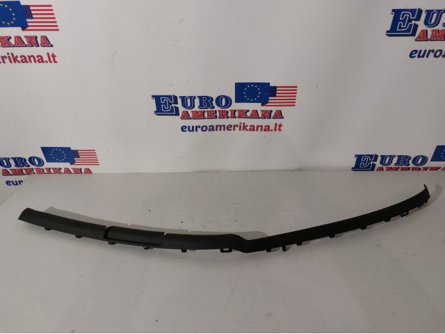 Cover Molding, LH (Raptor)